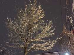 1雪景色